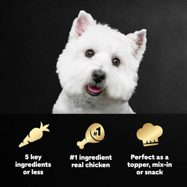 Cesar Simply Crafted Wet Dog Food Toppers, Chicken, 1.3 Oz, 10 Count | Real Chicken #1 Ingredient, No By-Products or Artificial Flavors, Slow-Cooked, Easy to Digest, Single-Serve Tubs2