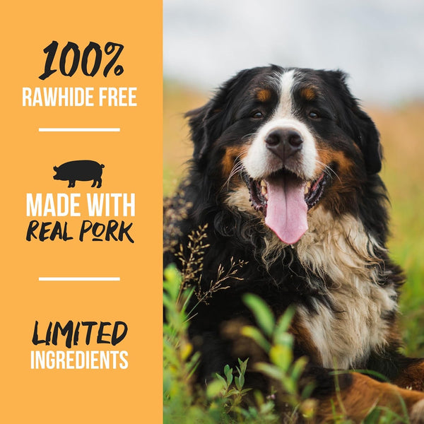 Grillerz Real Pig Ears, Rawhide-Free, 12 Count | Single-Ingredient, All-Natural Pig Ears - a High-Protein, Easily Digestible Chew Dogs Love8