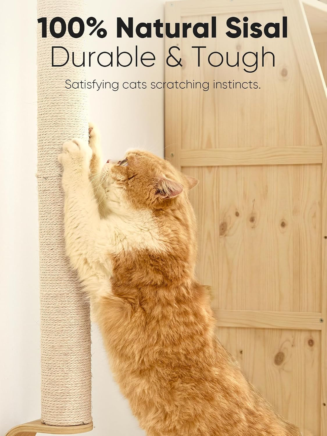 fukumaru-cat-wall-scratcher-60-tall-kitten-scratching-post-natural-sisal-pole-wall-mounted-climbing-tree-for-indoor-large-cats