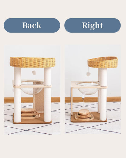 Modern Cat Tree for Large Cats, Modern Cat Tree Tower with Wide Shelves Cotton Scratching Posts, Super Sturdy Base, Cozy Perches, and Interactive Toys for Indoor Kittens 31-Inch18