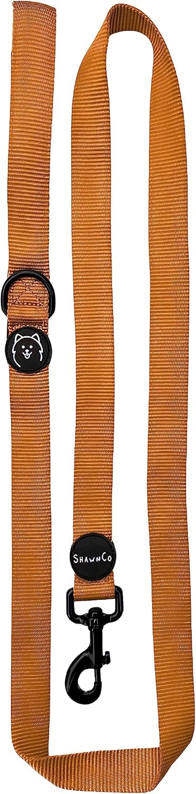 shawnco-dream-walk-dog-leash-premium-nylon-pet-leash-with-soft-neoprene-handle-for-small-medium-and-large-dogs-icy-lilac-m-l-6ft-w-2-handles