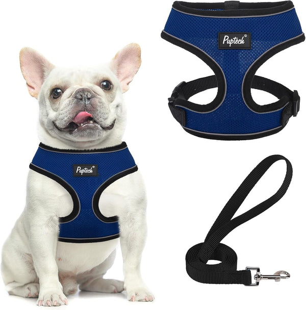 PUPTECK Soft Mesh Dog Harness Small Sized and Leash Set Pet Puppy Cat Comfort Padded Vest No Pull Harnesses, Beige, S26