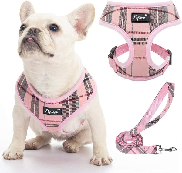 PUPTECK Soft Mesh Dog Harness Small Sized and Leash Set Pet Puppy Cat Comfort Padded Vest No Pull Harnesses, Beige, S66