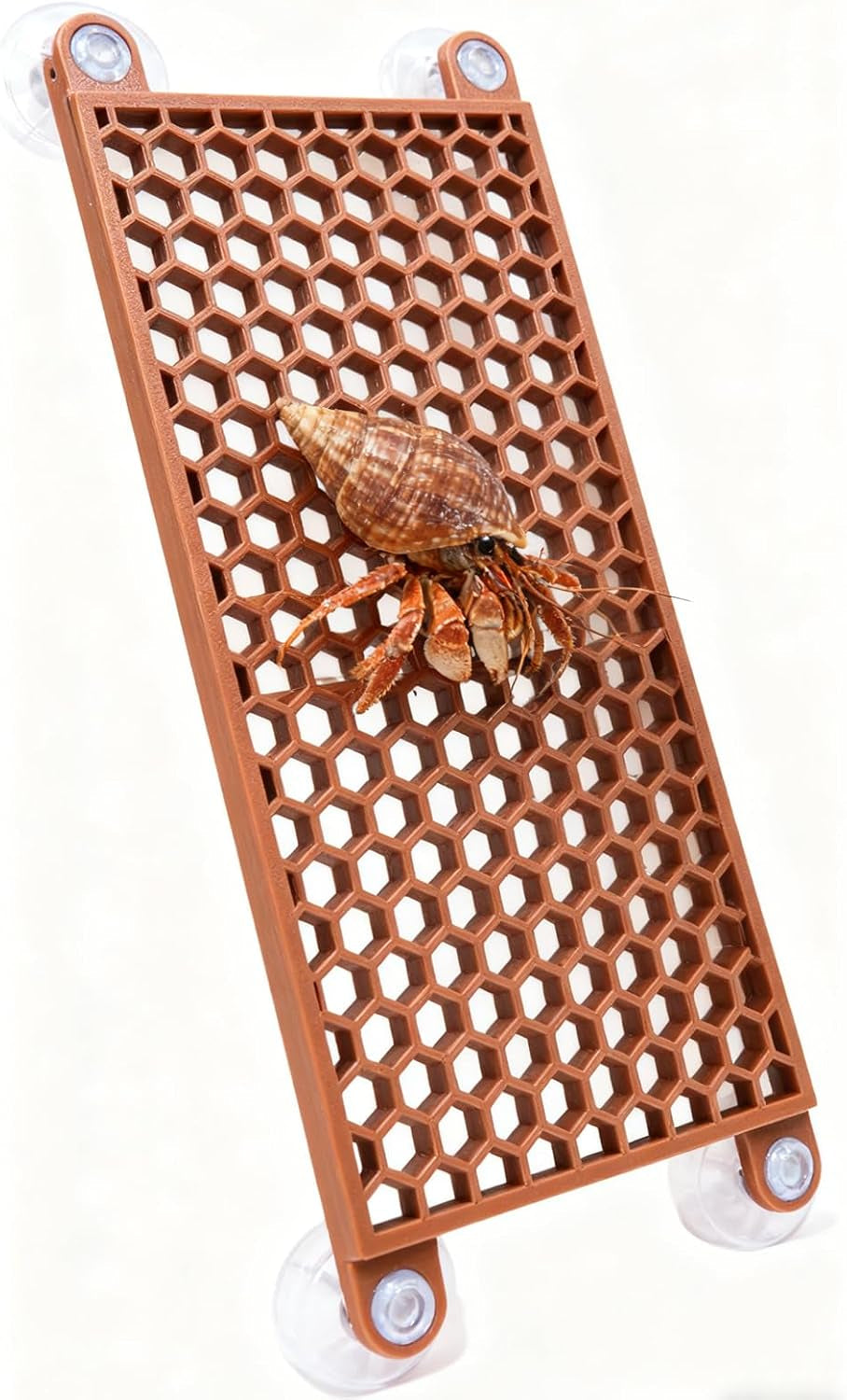 hermit-crab-climbing-toy-reptile-habitat-decor-exercise-playground-hermit-crab-accessories-for-tank-and-aquarium-decoration-brown