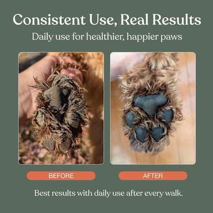 Dog Paw Cleaner, Clean Paws, No Rinse Foam Cleaner with Brush, 5 Fl Oz | Dandylion Dog Paw Washer, Fragrance Free, Ph Balanced, Waterless, Foaming Washer with Silicone Brush, Pet Cleaning Supplies5