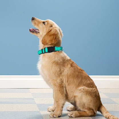 Reflective Dog Collar, Adjustable Soft Neoprene Padded,Teal,M | Breathable Nylon for Medium Dogs,Tear-Resistant Webbing,Chafe‑Free on Walks and Hikes,Metal D-Ring,Night Safety2