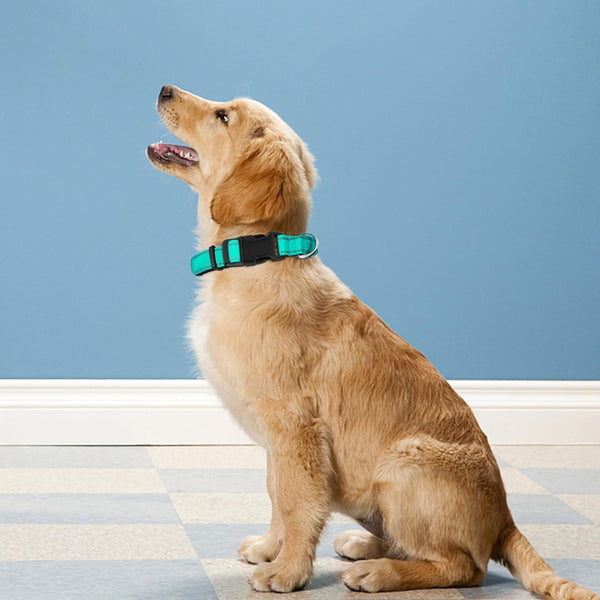 Reflective Dog Collar, Adjustable Soft Neoprene Padded,Teal,M | Breathable Nylon for Medium Dogs,Tear-Resistant Webbing,Chafe‑Free on Walks and Hikes,Metal D-Ring,Night Safety2