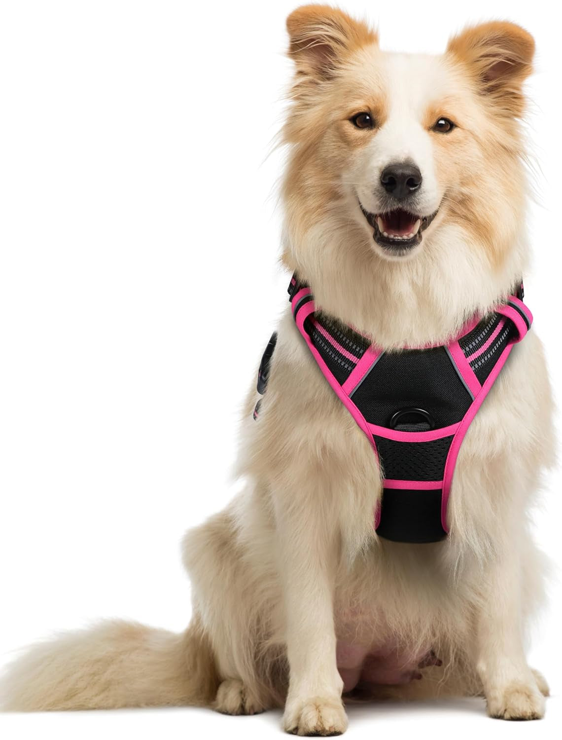 rabbitgoo-dog-harness-no-pull-for-large-dogs-with-2-leash-clips-pet-vest-no-choke-with-handle-adjustable-soft-padded-reflective-easy-control-for-walking-black-large