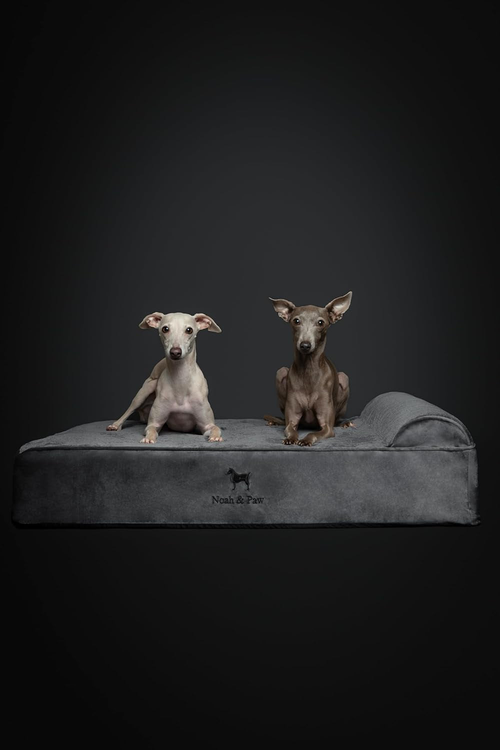 noah-paw-large-dog-bed-35x25x8-7-inch-orthopedic-dog-beds-eggshell-memory-foam-infused-with-cooling-gel-water-resistant-machine-washable-includes-inner-cover-velvet-collection