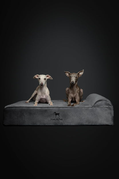 NOAH & PAW Large Dog Bed, 35X25X8.7 Inch, Orthopedic Dog Beds, Eggshell Memory Foam Infused with Cooling Gel, Water Resistant, Machine Washable, Includes Inner Cover (Velvet Collection)7