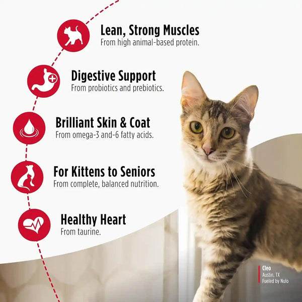 Nulo Freestyle Cat & Kitten Dry Food - Chicken & Cod Recipe, High Protein Grain Free Cat Food, Natural Kibble with Probiotics & Omega Fatty Acids, 4Lb Bag3