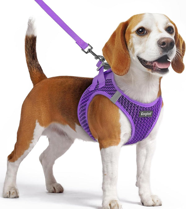 Eagloo Small Dog Harness and Leash Set, Step in Small Sized Puppy Pet Vest | Light, Soft, Breathable Air Mesh, Easy on and off with Hook & Loop, Reflective for Safe Walking, Pink, S32