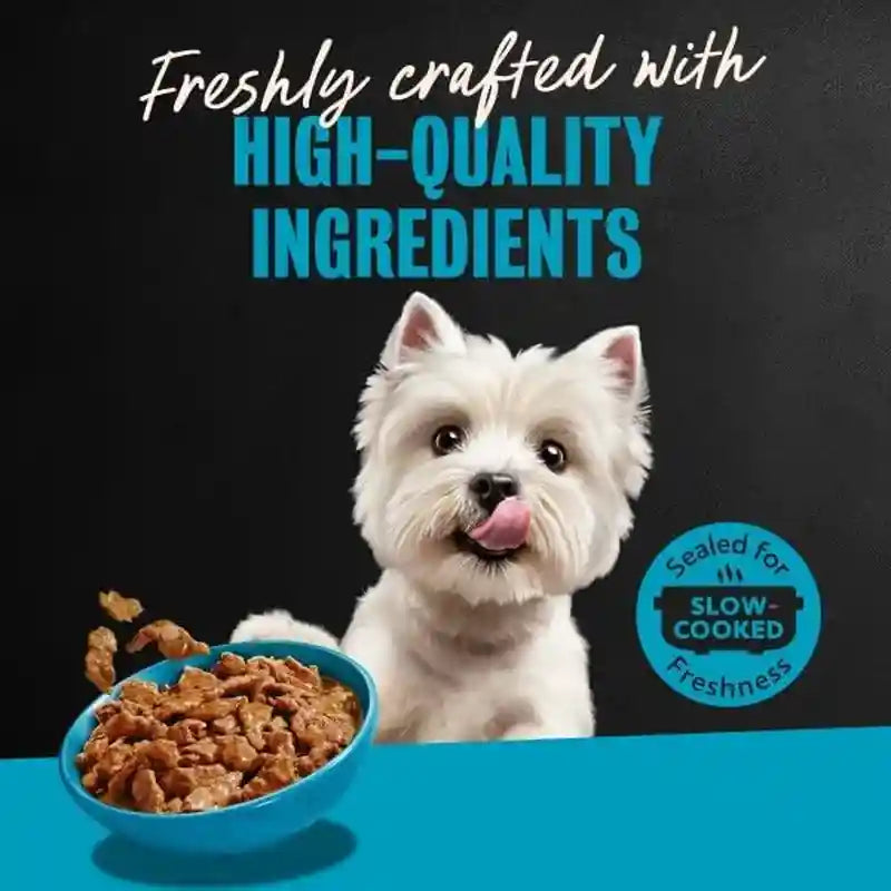 cesar-filets-in-gravy-wet-dog-food-steak-mix-variety-3-5-oz-24-count-filet-mignon-new-york-strip-prime-rib-real-meat-slow-cooked-no-fillers-added-sugar-artificial-flavors-easy-peel-trays