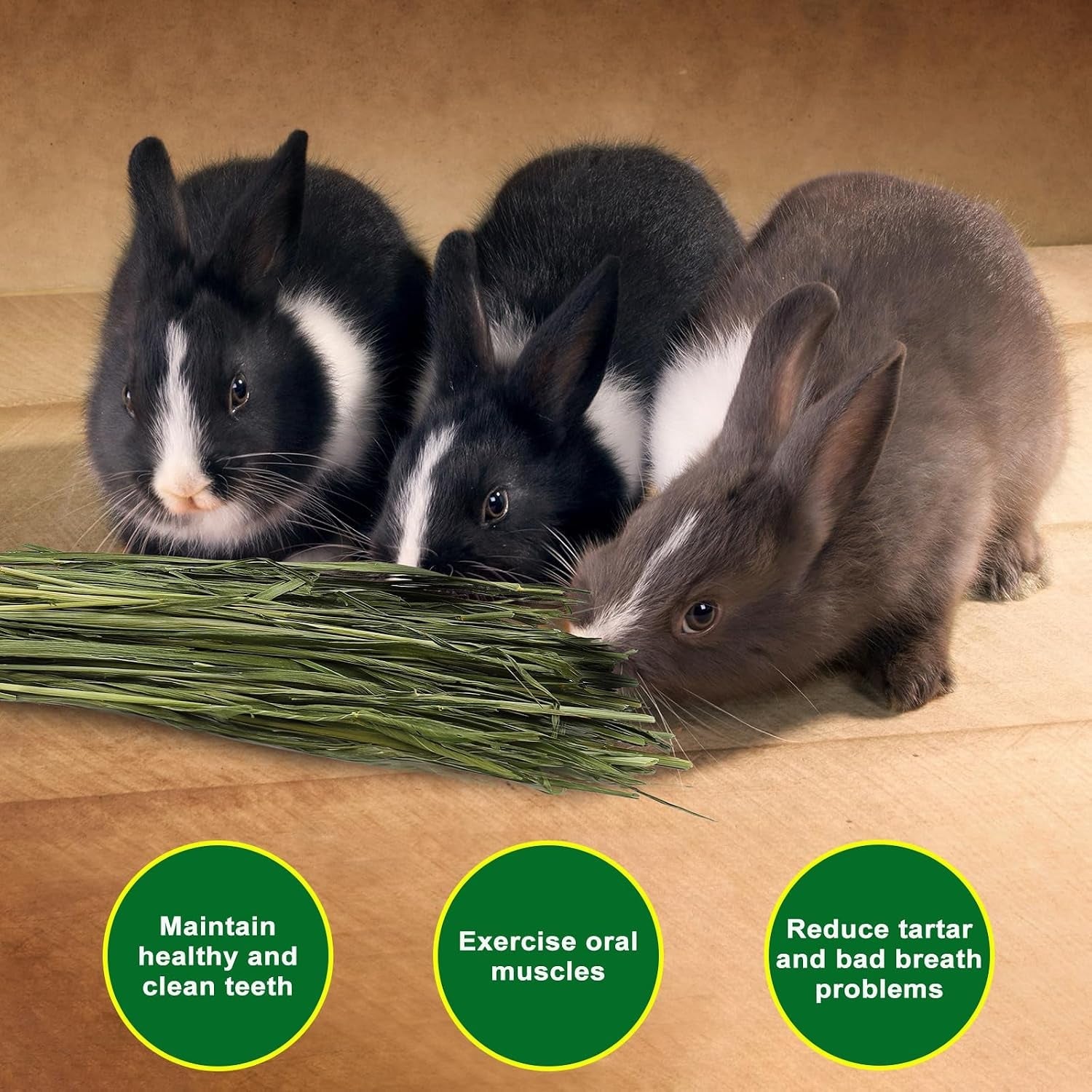 premium-oat-hay-1-1lb-small-pet-feed-premium-dust-free-natural-green-oat-hay-suitable-for-rabbits-guinea-pigs-chinchillas-hamsters-gerbils