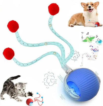 2 Packs Speed 2.0 Tail Interactive Cat Toys for Indoor Cats, Chirping & Motion Activate Cat Toy, Smart Kitten Rolling Ball Moving Ball Toys, Rechargeable Dog Cats Bal L for Enrichment Exercise13