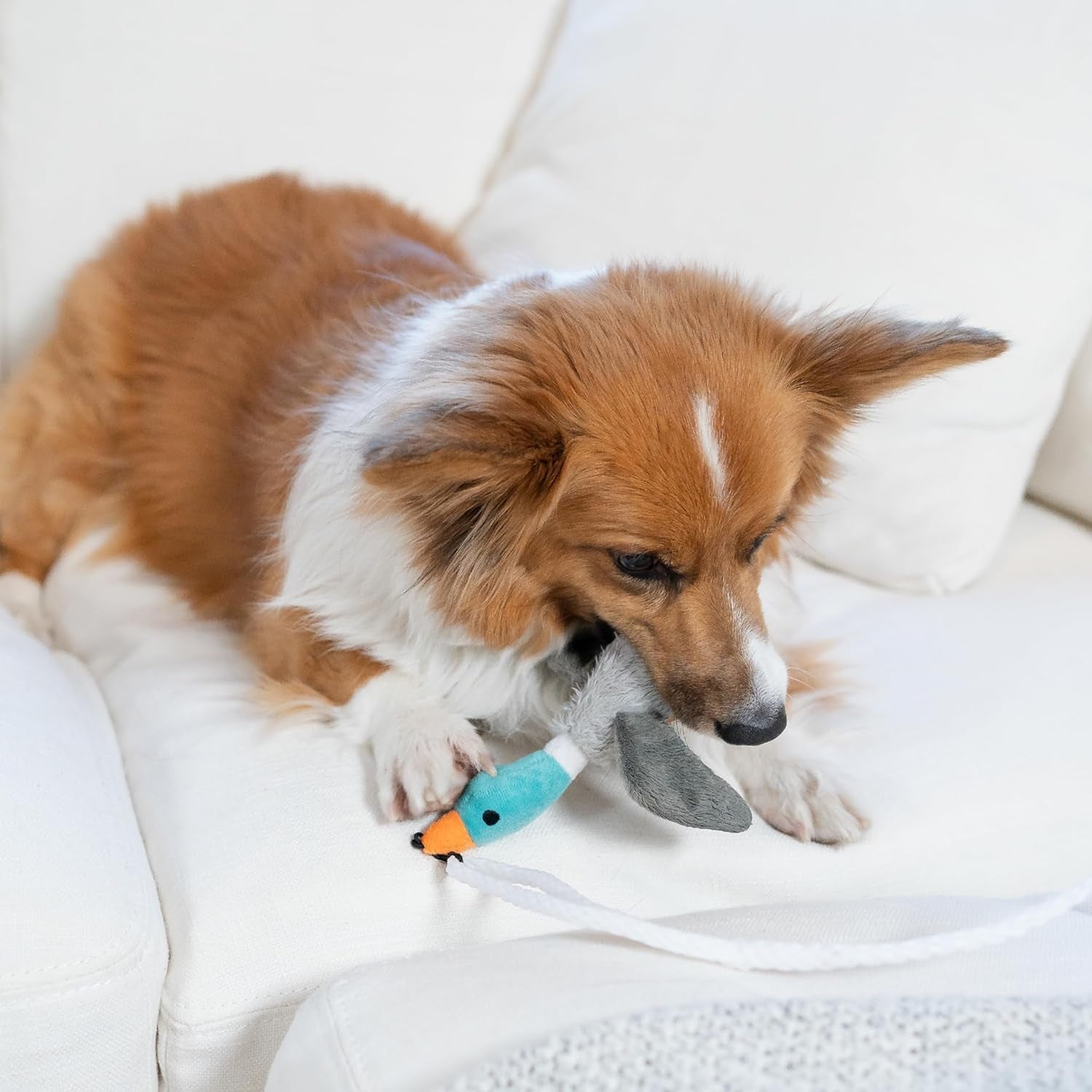 outward-hound-tail-teaser-interactive-dog-wand-toy-with-squeaky-plush-teaser-and-crinkle-sounds-for-active-play-multicolored
