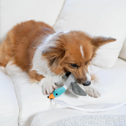 Outward Hound Tail Teaser Interactive Dog Wand Toy with Squeaky Plush Teaser and Crinkle Sounds for Active Play, Multicolored6