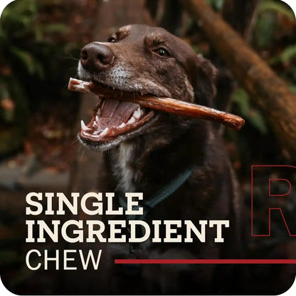 Redbarn Premium Bully Sticks for Dogs - 7 Inch, 6 Count - Long Lasting, Rawhide-Free, Slow Roasted, Low Odor & Highly Digestible, Single Ingredient Chews & All-Natural Dental Treats for Chewers2