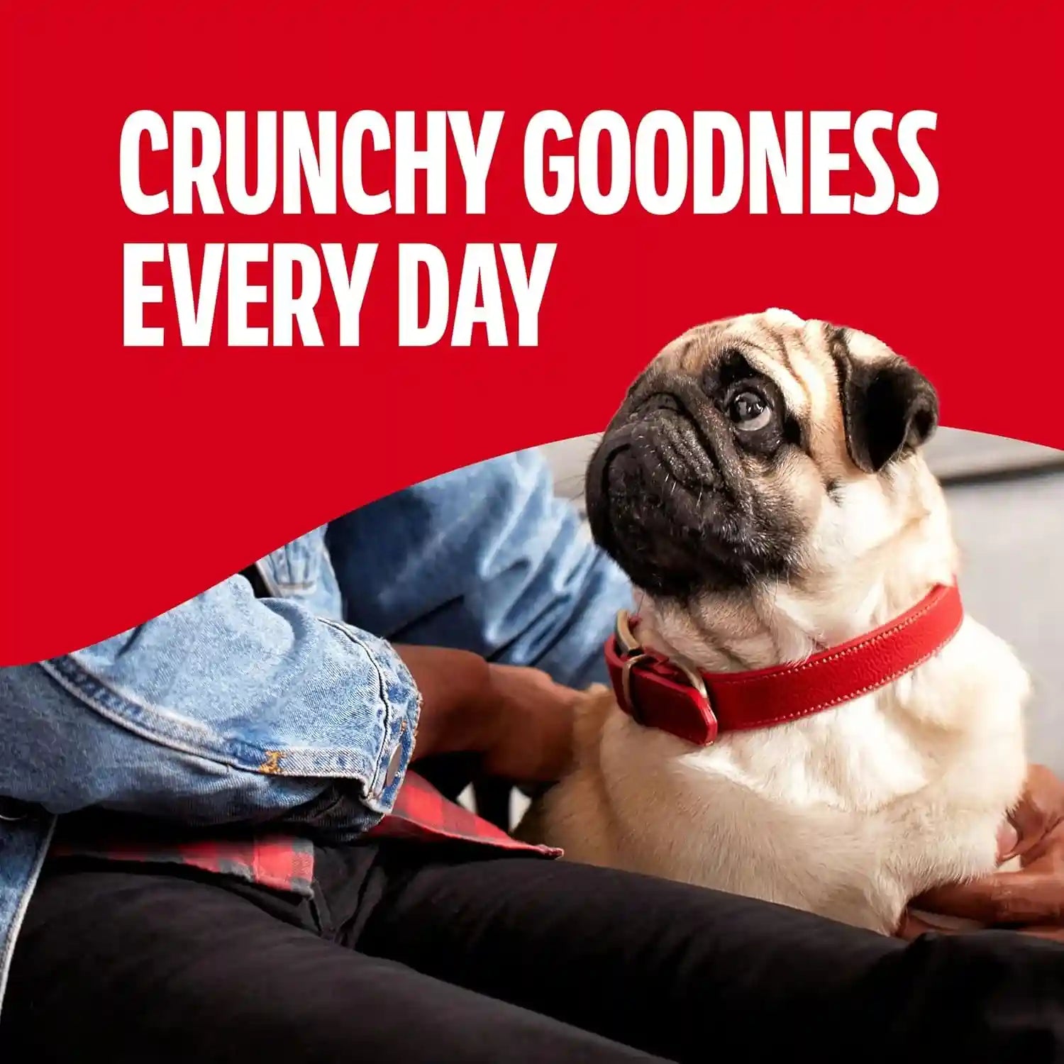 milk-bone-mini-s-original-biscuits-mini-dog-treats-6-boxes-6-15-oz-boxes-tail-wagging-meaty-taste-15-protein-5-calories-per-treat