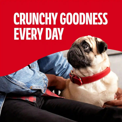 Milk-Bone Mini’S Original Biscuits, Mini Dog Treats, 6 Boxes | 6 (15-Oz.) Boxes, Tail-Wagging Meaty Taste, 15% Protein, 5 Calories per Treat5