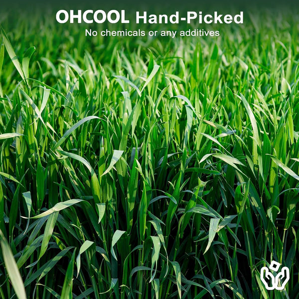 Premium Oat Hay, 1.1LB Small Pet Feed | Premium Dust Free Natural Green Oat Hay, Suitable for Rabbits, Guinea Pigs, Chinchillas, Hamsters, Gerbils5