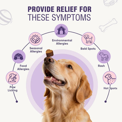 Dog Allergy Chews 200Ct - Dog Allergy and Itching Skin Relief anti Itch Aller Immune Bites for Dogs Licking Paws Treatment Relief Itchy Chew Probiotics Vitamins for Skin and Coat Allergies - Lamb | Probiotics & Vitamins Bites for Dogs Licking Paws.Anti-Itch Treatments to Soothe Allergies & Support Healthy Coat Health3
