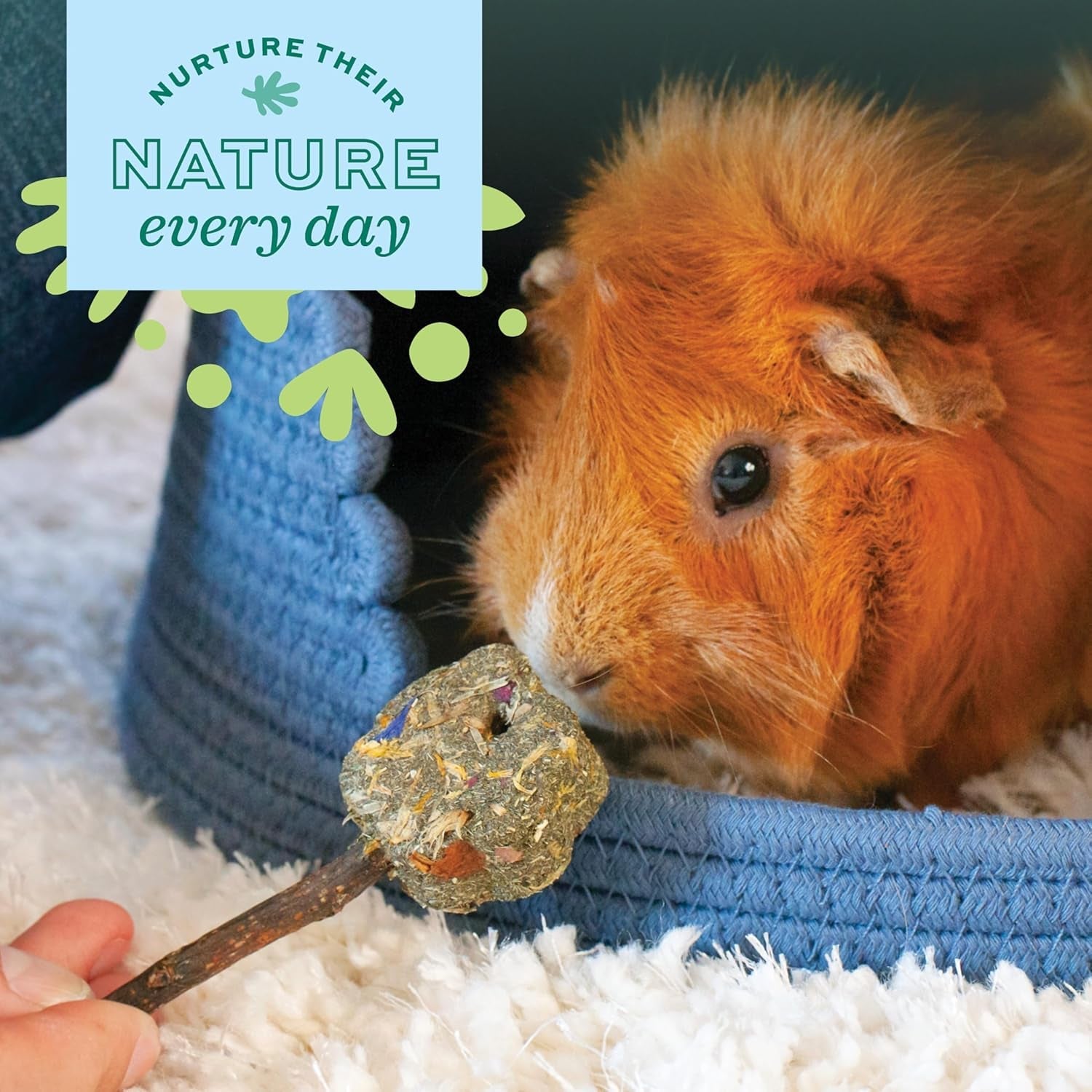 oxbow-willow-play-cube-rabbit-guinea-pig-toy-bunny-enrichment-chew-toy-oxbow-enriched-life-rabbit-chew-toys-guinea-pig-enrichment-guinea-pig-chew-toys-rabbit-enrichment-natural-materials