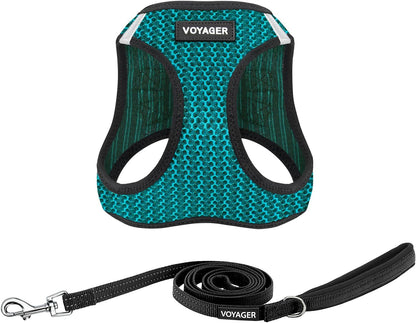 Best Pet Supplies Voyager Step-In Air All Weather Mesh Harness and Reflective Dog 5Ft Leash Combo with Neoprene Handle, for Small, Medium and Large Breed Puppies - Baby Blue, Small16
