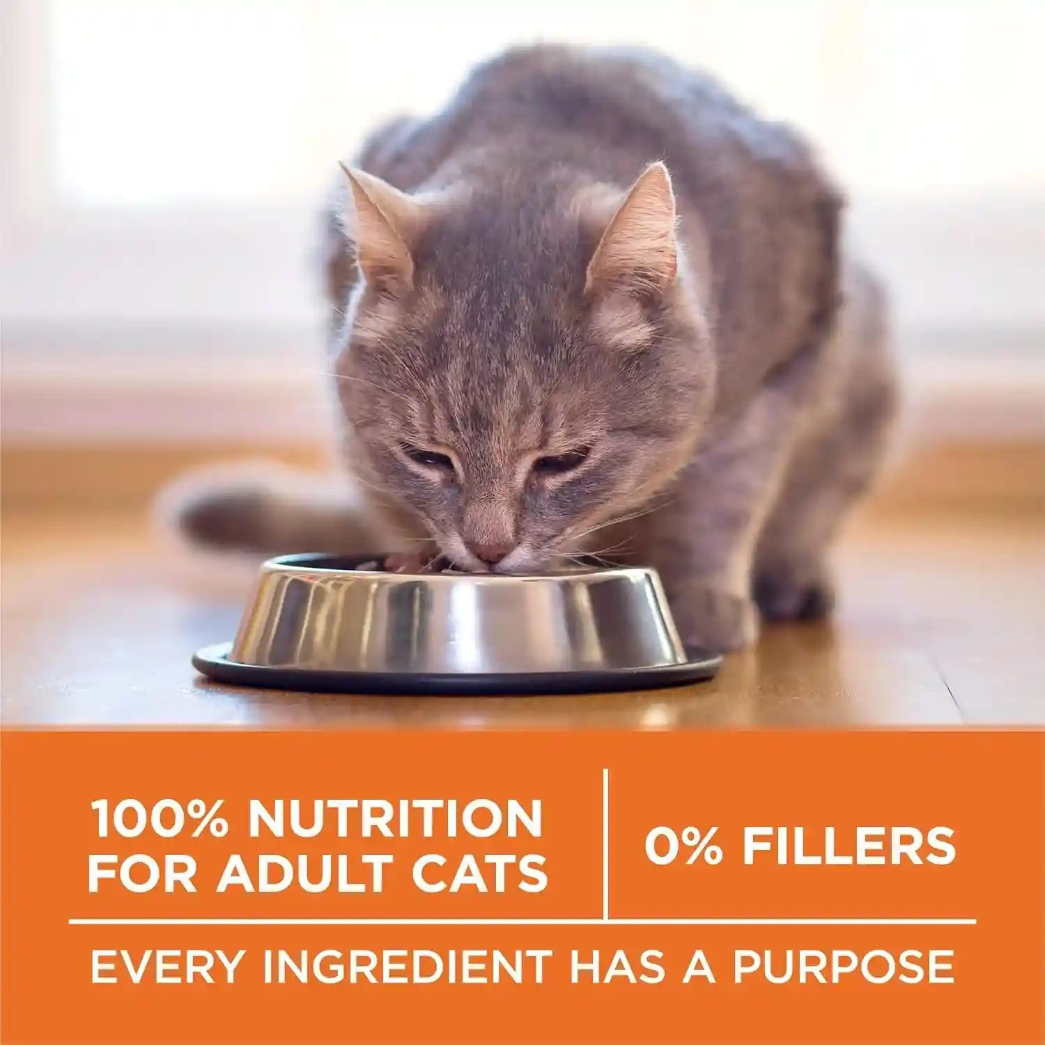 purina-one-high-protein-healthy-plus-ideal-with-chicken-dry-cat-food-control-formula-7-lb-bag