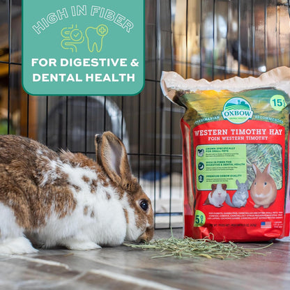 Oxbow Western Timothy Hay, Guinea Pig Hay, Small Pet Bunny Supplies, All Natural Grass for Guinea Pig, Bunny, Chinchilla & Hamster, Oxbow Rabbit Supplies for Bunnies, 9 Lb Box | Oxbow Timothy Hay, Bunny Hay for Rabbits, Guinea Pigs, Bunnies and Chinchillas, Hand-Sorted, De-Dusted, Made in USA15