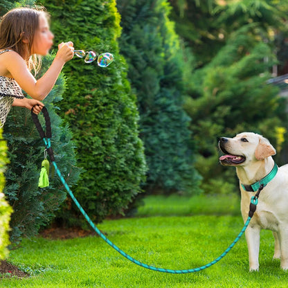 Dynmeow Reflective Dog Collar and Leash Set for Large Dogs, Teal | Soft Neoprene Padded, 6FT Climbing Rope, Ideal for Daily Outdoor Walking or Indoor Wearing, Night Visible for Safety6