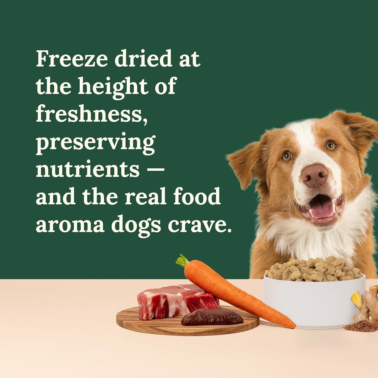 360-pet-nutrition-freeze-dried-raw-dog-food-beef-recipe-with-liver-organs-high-protein-with-omega-3s-fruits-veggies-superfoods-grain-free-no-fillers-1-lb-made-in-usa