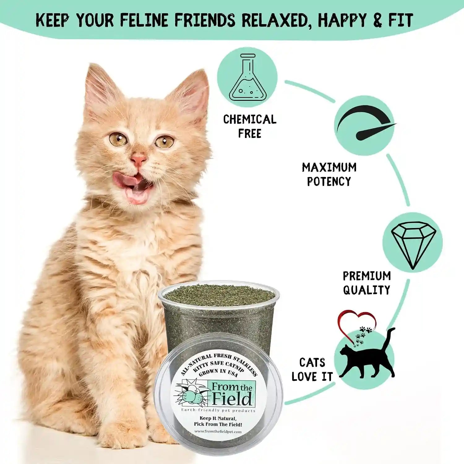 from-the-field-fine-ground-stalkless-catnip-premium-usa-grown-catnip-for-toys-playtime-fresh-potent-non-toxic-eco-friendly-safe-for-kittens-cats-resealable-6-oz-tub