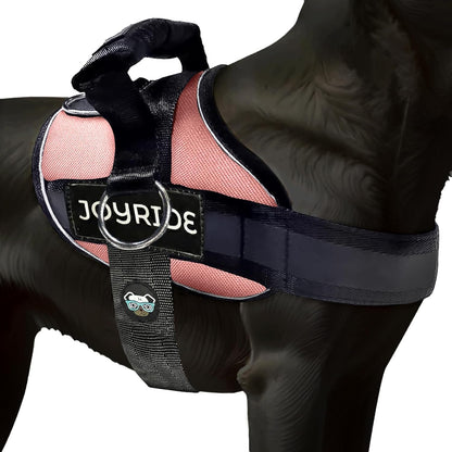 Joyride Dog Harness 2.0 | No-Pull | Blue 2.0 | M | Reflective No-Choke Quick-Fit Vest with 3 Leash Clips and Escape-Resistant Design for Easier Walks and Training15
