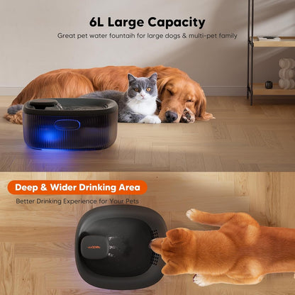 WOPET Dog Water Fountain for Large Dogs, 6L/205Oz/1.6Gal Automatic Dog and Cat Water Fountain, Pet Water Dispenser with Filters (Charcoal Dog Fountain+5 Filters)2