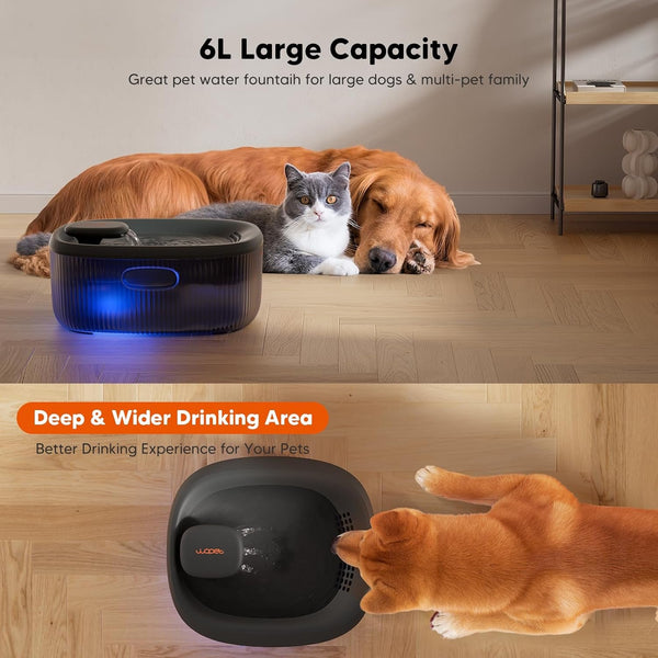 WOPET Dog Water Fountain for Large Dogs, 6L/205Oz/1.6Gal Automatic Dog and Cat Water Fountain, Pet Water Dispenser with Filters (Charcoal Dog Fountain+5 Filters)2