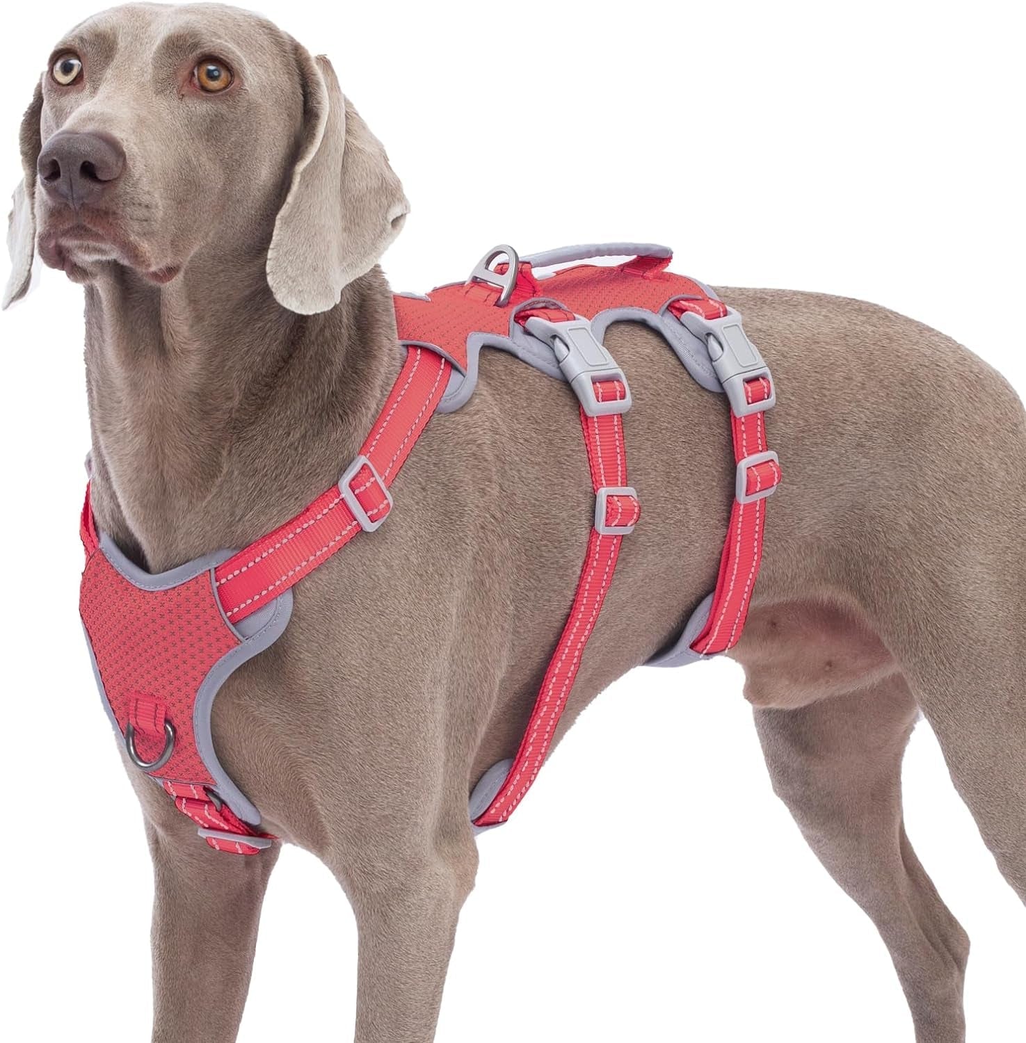 huntboo-escape-proof-harness-no-slip-dog-harness-escape-proof-fully-reflective-harness-with-handle-breathable-durable-adjustable-vest-for-medium-dogs-walking-and-training-gear-black-m