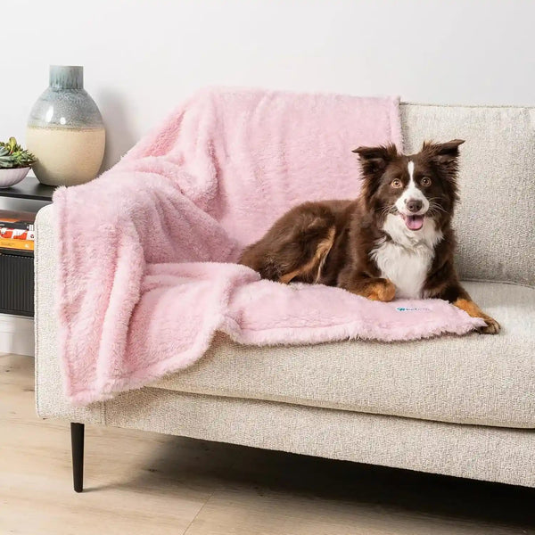 Petami Fluffy Waterproof Dog Blanket for Couch and Bed, Reversible Sherpa Pet Throw, Pee Proof Furniture Protector Sofa Cover, Washable Cat Blanket for Medium Large Dogs and Cats (Taupe Camel, 60X80)24