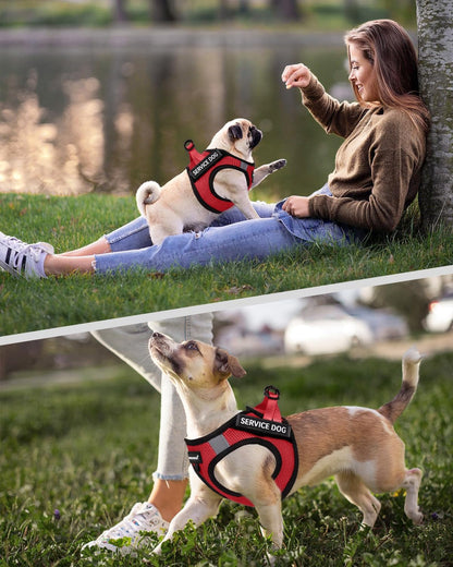 FAYOGOO Service Dog Vest for Small Dogs - Lightweight Dog Harness with 6PCS Removable Patches - Puppy Harness and Leash Set for Walking,Training5