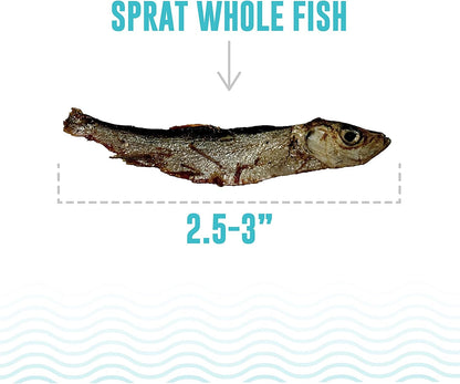 Icelandic+ Whole Sprat Cat Treats - 0.85 Oz Wild-Caught Crunchy Fish Snacks | Single Ingredient Air-Dried 2.5-3" Fish, High Protein & Omega-3 for Skin & Coat Health, No Additives or Fillers3
