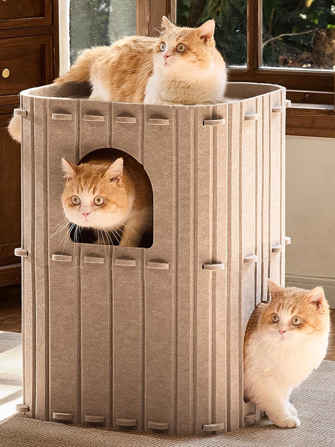 fukumaru-cat-house-for-indoor-cats-warm-felt-cat-bed-scratch-resistant-large-cat-bed-cave-3-in-1-cat-condo-cozy-felt-covered-cats-tunnel-23-62-inch-kitten-hideaway-for-multicats-beige
