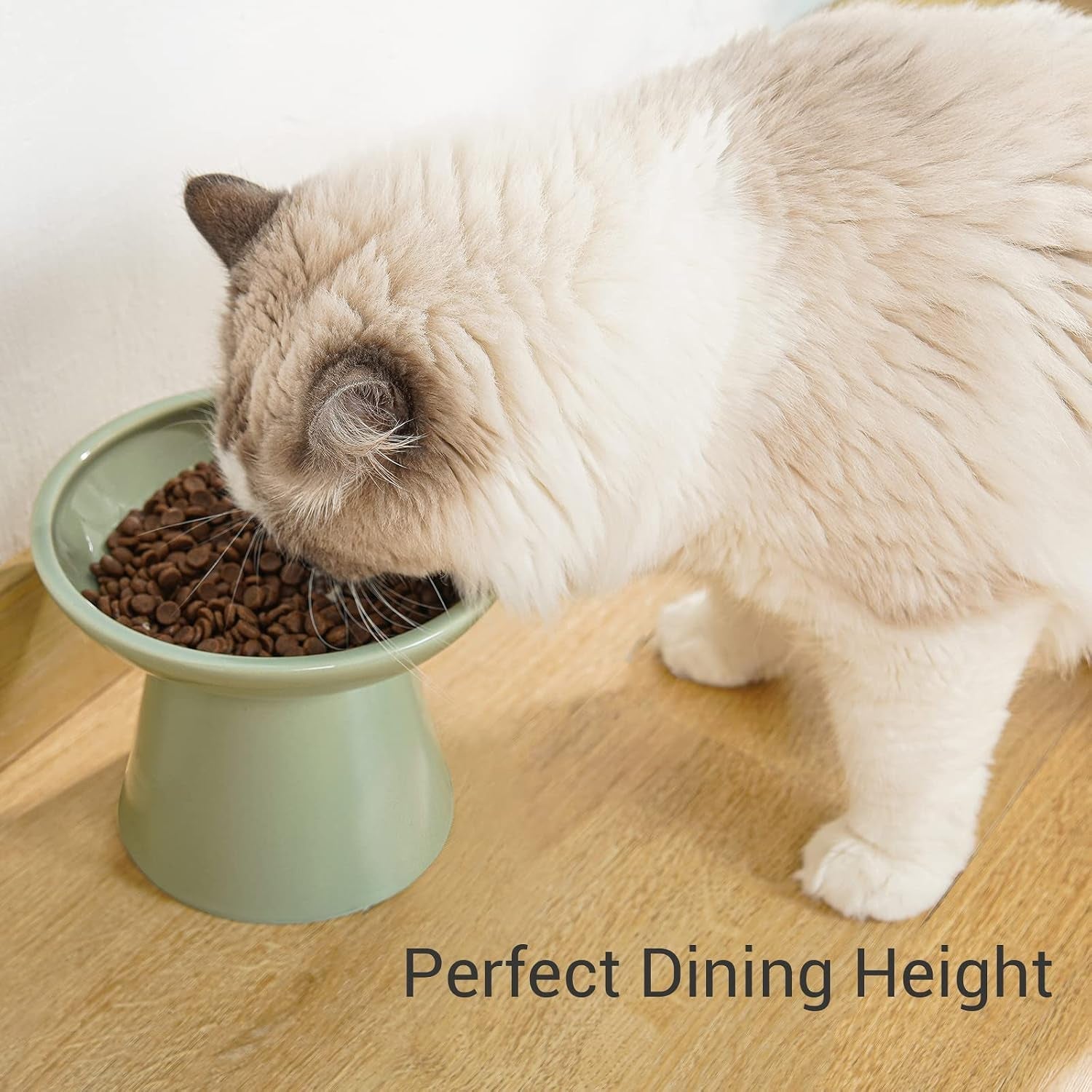 ceefu-extra-wide-elevated-ceramic-6-2-shallow-cat-food-bowl-cat-dish-for-whisker-fatigue-relief-5-height-for-easy-feeding-lead-cadmium-free-durable-raised-cat-bowl-sage-green