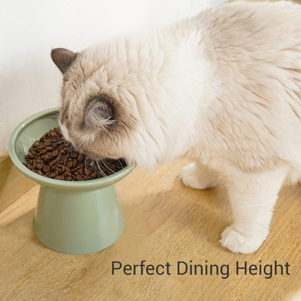 CEEFU Extra Wide Elevated Ceramic 6.2" Shallow Cat Food Bowl | Cat Dish for Whisker Fatigue Relief, 5" Height for Easy Feeding, Lead & Cadmium Free, Durable Raised Cat Bowl, Sage Green2