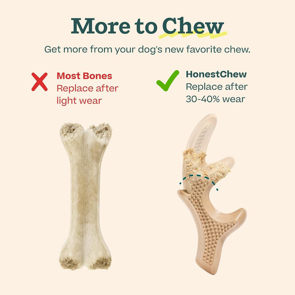 WOOF Honestchew Antler Dog Chew Toy for Dogs 25-60 Lbs | Includes Antler & Infinity, Plant-Based Materials, Splinter-Resistant, Durable Chews, Supports Dental Care, Gift-Ready Set6