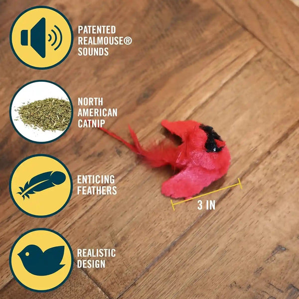 Ourpets Play-N-Squeak Real Birds Interactive Cat Toys with Catnip (Cat Toys for Indoor Cats; Catnip Toy for Cats with Bird Chirping Electronic Sound and Feather)3