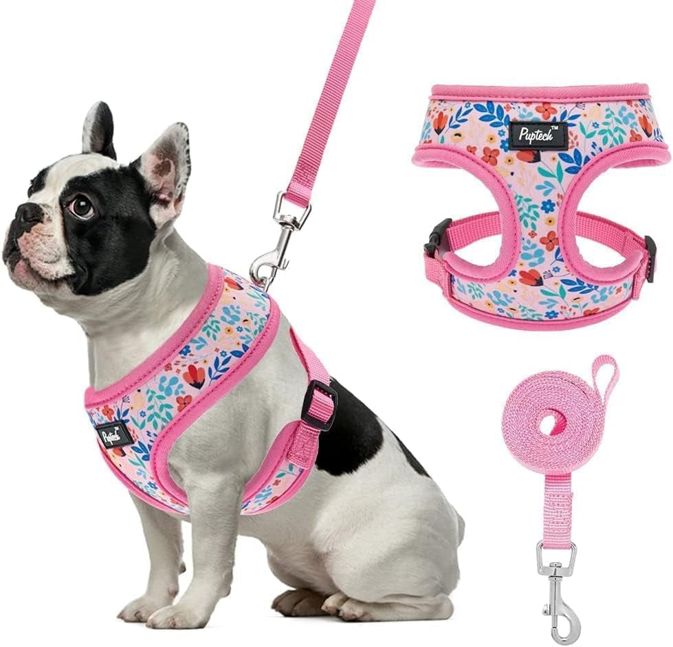 pupteck-soft-mesh-dog-harness-small-sized-and-leash-set-pet-puppy-cat-comfort-padded-vest-no-pull-harnesses-beige-s