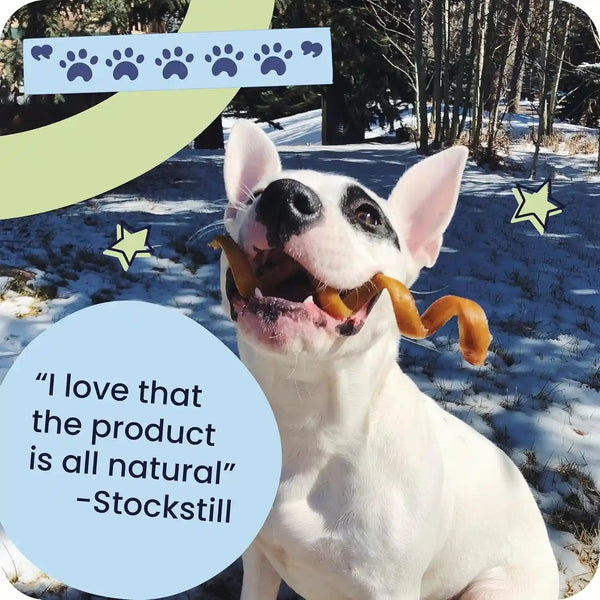 Pawstruck Natural 5-8" Bully Sticks for Dogs - Best Long-Lasting, Rawhide-Free, Low Odor Dental Chew Treat - Healthy Single Ingredient, 100% Real Beef - 8 Oz Bag - Packaging May Vary8