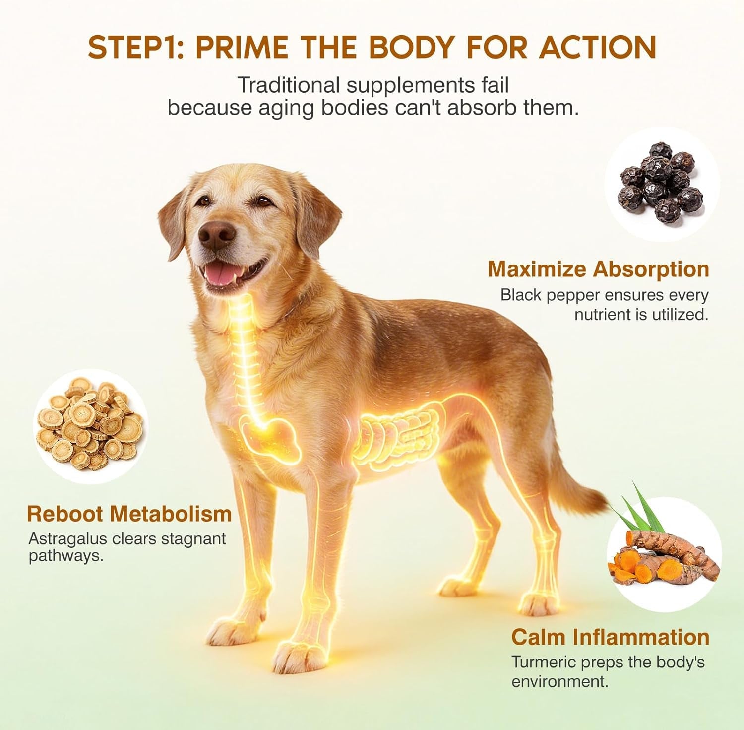 turkey-tail-mushroom-for-dogs-senior-dog-supplement-for-lumps-bumps-lipoma-soft-chews-with-reishi-maitake-turmeric-astragalus-supports-immune-health-natural-chicken-flavor-120-count