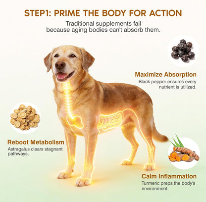 Turkey Tail Mushroom for Dogs,Senior Dog Supplement for Lumps, Bumps & Lipoma,Soft Chews with Reishi, Maitake, Turmeric & Astragalus,Supports Immune Health,Natural Chicken Flavor, 120 Count3