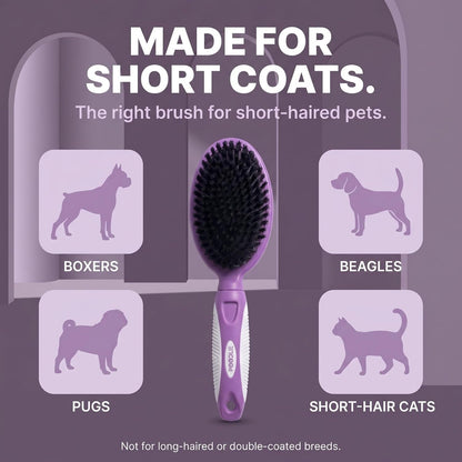 Soft Bristle Dog Brush for Short Haired Cats or Dogs - Firm Bristles to Remove Dust, Dirt, and Loose Fur - Hook and Rubber Handle5